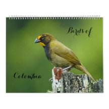 Oiseaux de Colombie