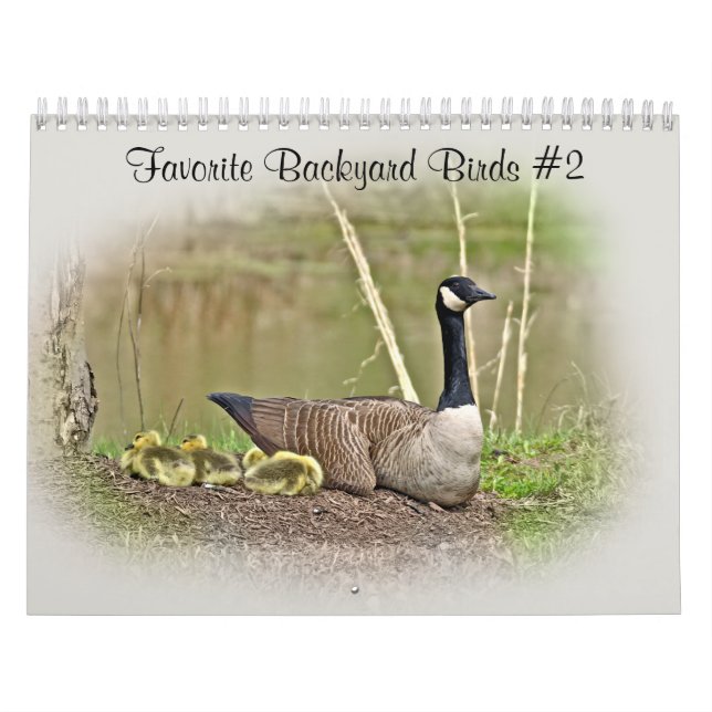 Calendrier Oiseaux de Jardin favoris #2 (Protection)