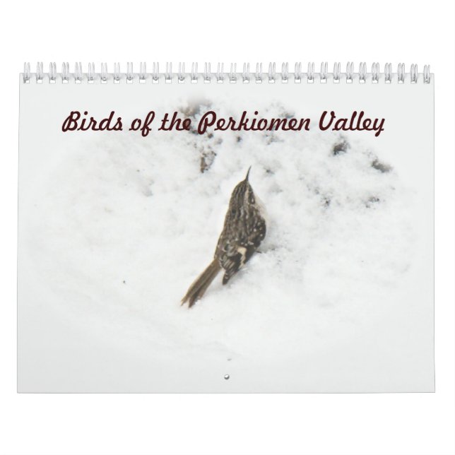 Calendrier - Oiseaux de la vallée du Perkiomen (Protection)