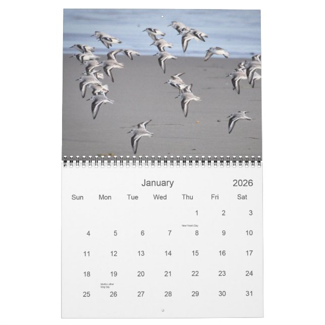 Calendrier Oiseaux de Mendocino (Jan 2026)