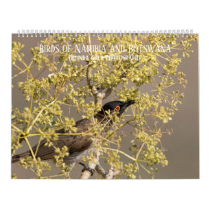 Calendrier Oiseaux de Namibie et du Botswana