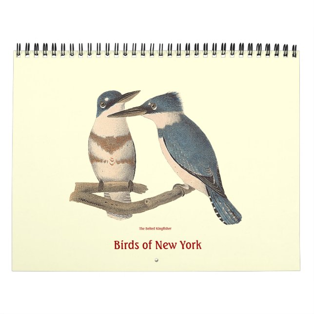Calendrier Oiseaux de New York Lithographies (Protection)