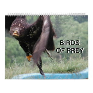 Calendrier Oiseaux De Prey 2022