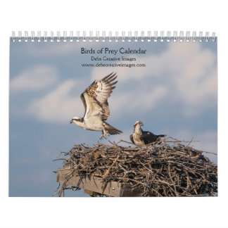 Calendrier Oiseaux de Prey 2026