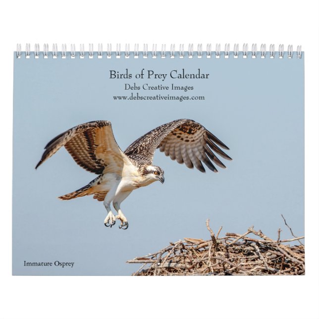 Calendrier Oiseaux de Prey 2026 (Protection)