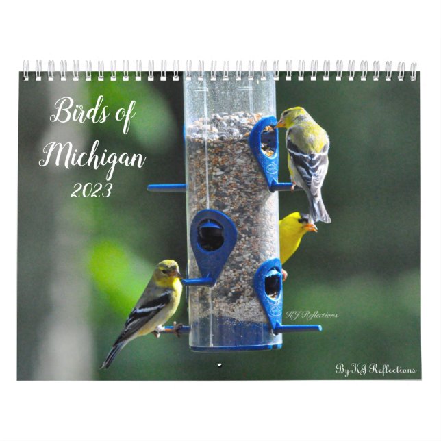 Calendrier Oiseaux du Michigan (Protection)