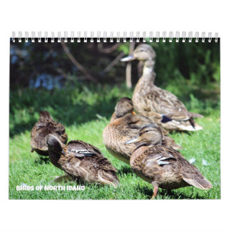 Calendrier Oiseaux du nord de l'Idaho
