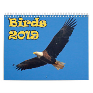 Calendrier Oiseaux du nord-est