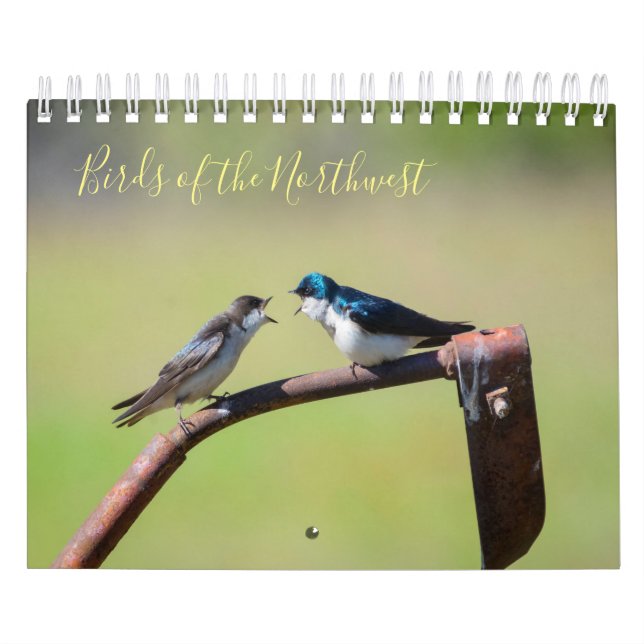 Calendrier Oiseaux du Nord-Ouest (Protection)