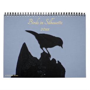 Calendrier Oiseaux en Silhouette Photographie naturelle 2026 