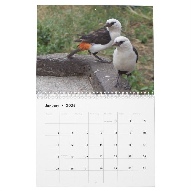 Calendrier Oiseaux exotiques d'est et de l'Afrique du Sud (Jan 2026)