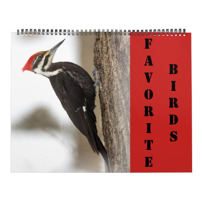 Calendrier - Oiseaux favoris (Protection)