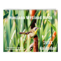 Oiseaux humides du Montana