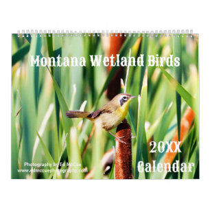 Calendrier Oiseaux humides du Montana