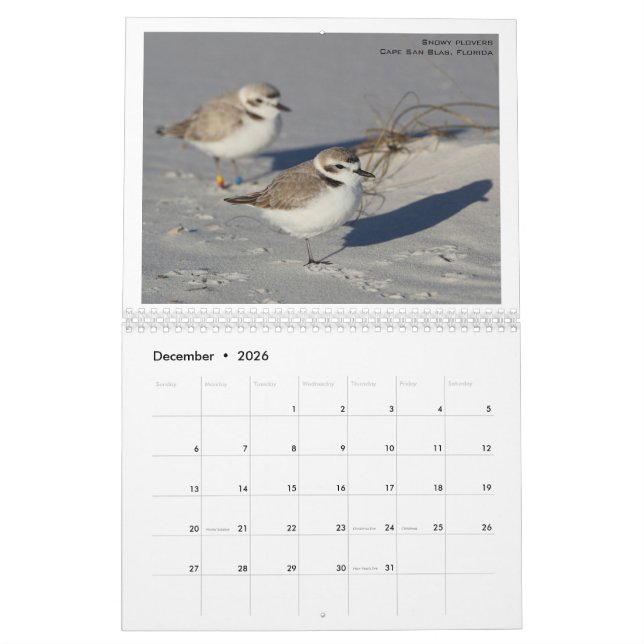 Calendrier Oiseaux nord-américains par Emily Willoughby (Dec 2026)