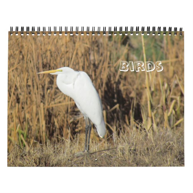Calendrier - Oiseaux pour le Nouvel An (Protection)