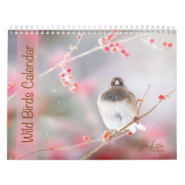 Calendrier Oiseaux sauvages (Protection)