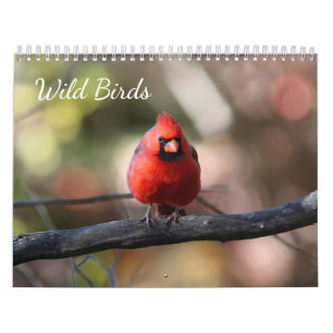 Calendrier Oiseaux sauvages