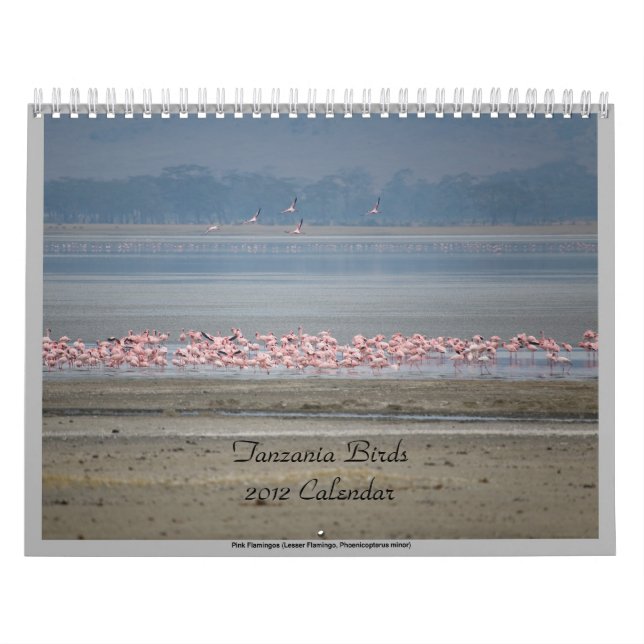 Calendrier Oiseaux sauvages de la Tanzanie (Protection)