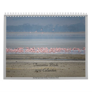 Calendrier Oiseaux sauvages de la Tanzanie