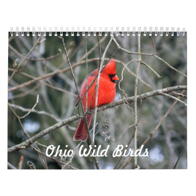 Calendrier Oiseaux sauvages de l'Ohio (Protection)