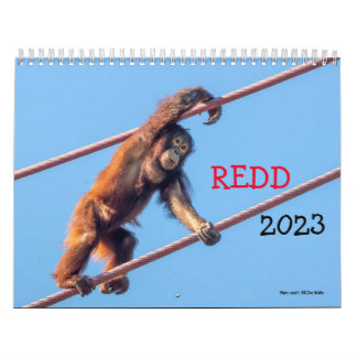 Calendrier Orangutan Redd 2023