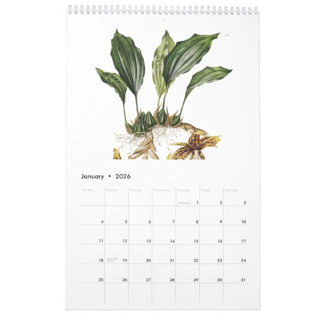 Calendrier Orchidées 2015 (Jan 2026)