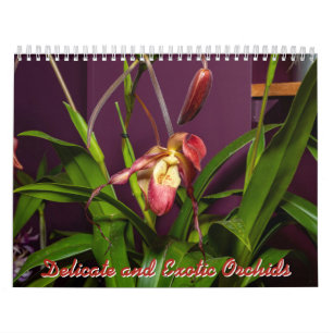 Calendrier Orchidées délicates et exotiques