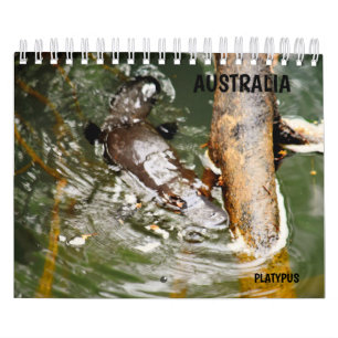 CALENDRIER ORNITHORYNQUE AUSTRALIE