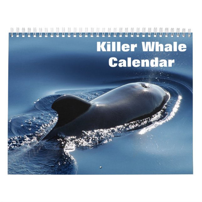 Calendrier Orques de baleines tueuses 2025 (Protection)
