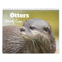 Otter 2026