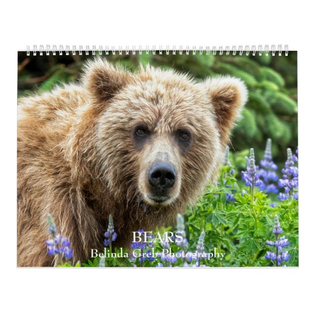 Calendrier OURS - Belinda Greb Photographie (Protection)