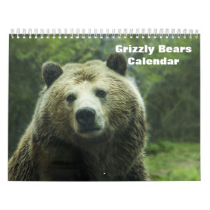 Calendrier Ours grizzlis