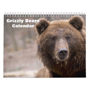 Calendrier Ours Grizzly 2027
