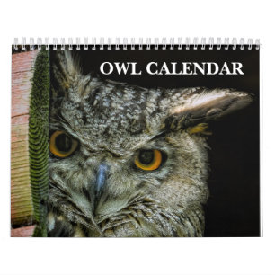 Calendrier Owl Pictures and Images 2025