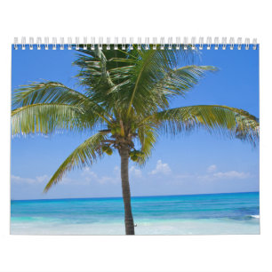 Calendrier Palmier des Bahamas