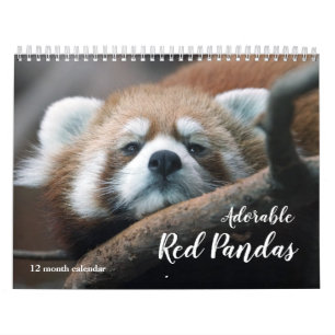 Calendrier Pandas rouges adorables 2026