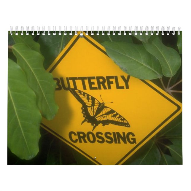 Calendrier papillon (Protection)