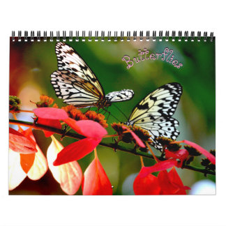 Calendrier Papillon