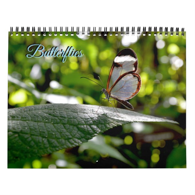 Calendrier Papillon (Protection)
