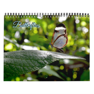 Calendrier Papillon