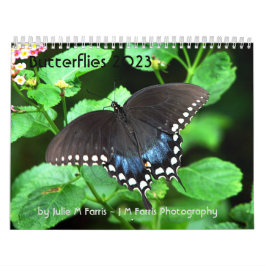 Calendrier papillon 2023