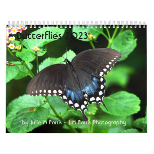 Calendrier papillon 2023