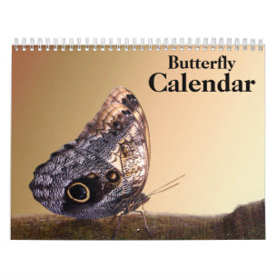 Calendrier Papillon 2026