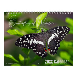 Calendrier Papillon Choisissez votre mois / année 