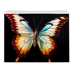 Calendrier Papillon coloré