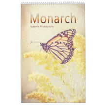 Papillon Monarque Beaux-Arts Nature Photos