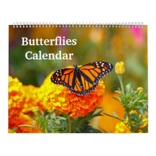 Calendrier Papillons