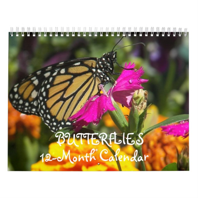 Calendrier Papillons (Protection)