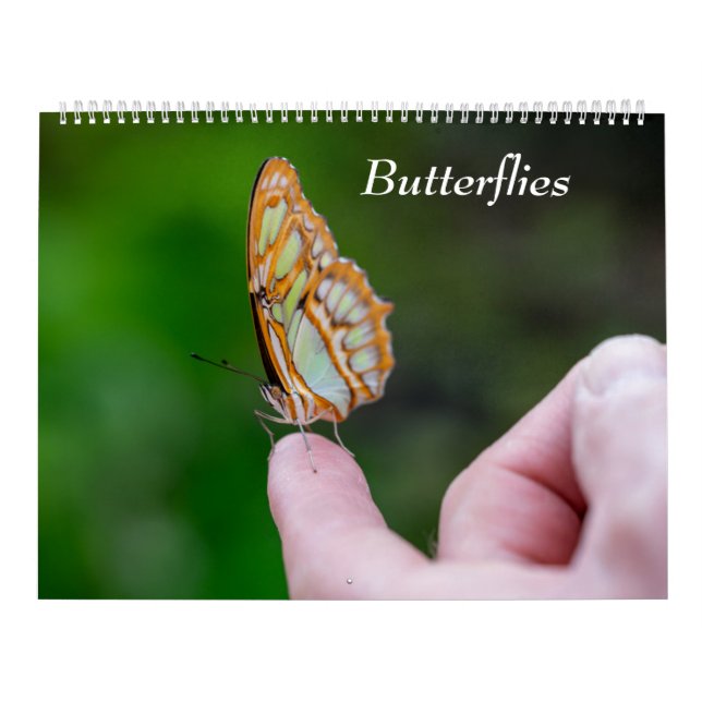 Calendrier Papillons (Protection)